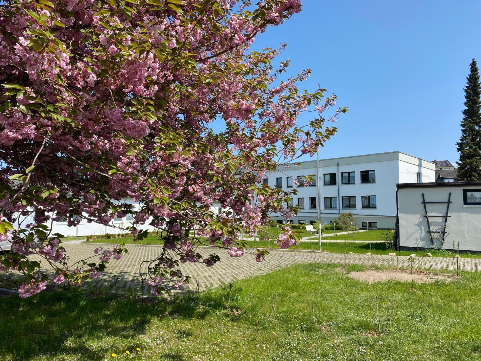 Apartment-Ferientiet Bergen Auf Rugen Exterior foto